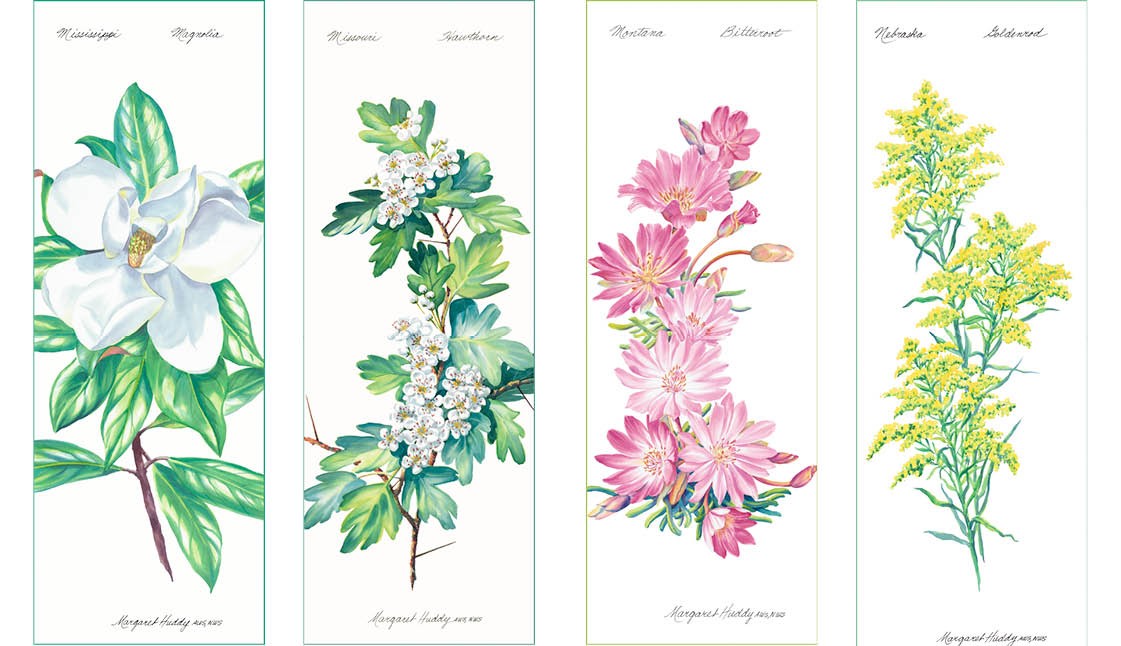 Mississippi, Missouri, Montana, and Nebraska State Flowers